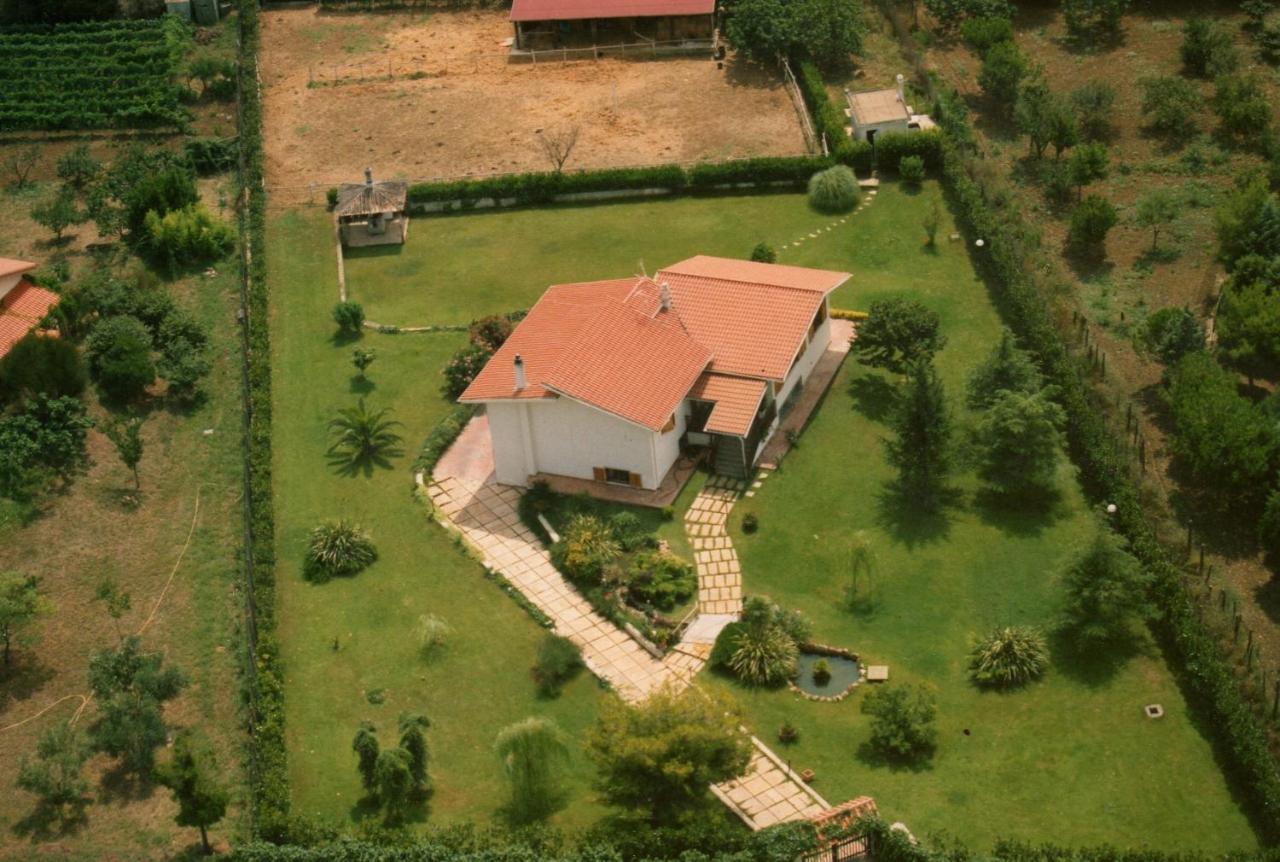 B&B Villa Sans Souci Civitavecchia Eksteriør billede