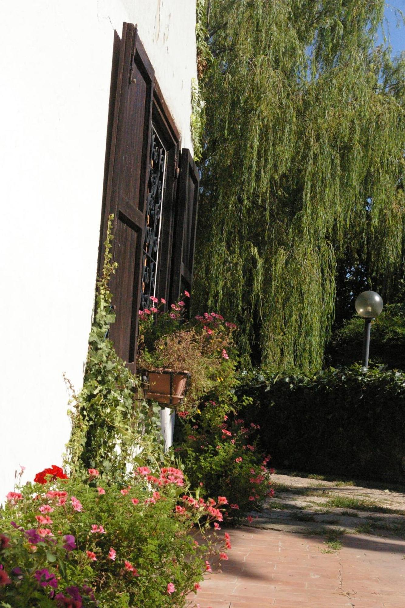B&B Villa Sans Souci Civitavecchia Eksteriør billede