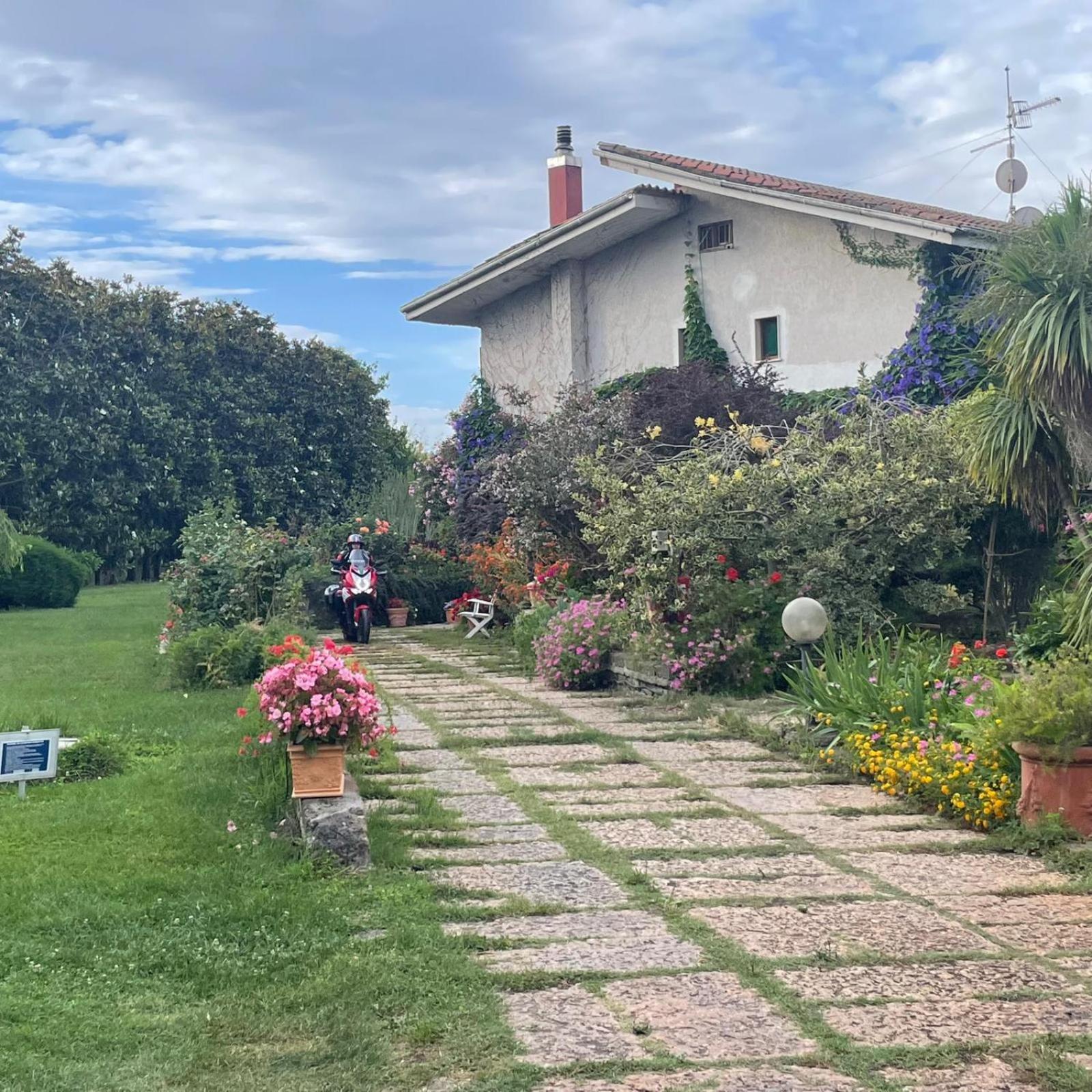 B&B Villa Sans Souci Civitavecchia Eksteriør billede
