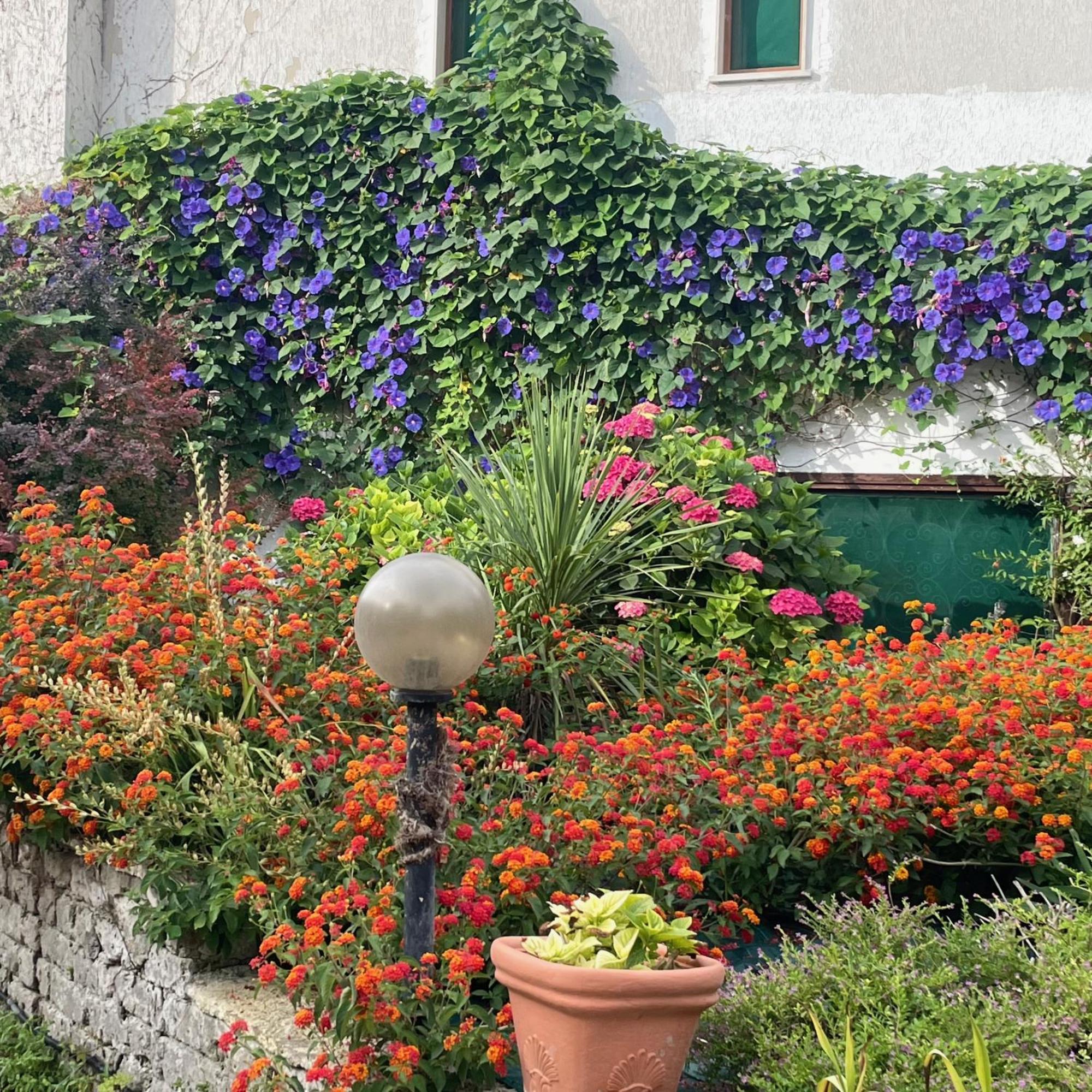 B&B Villa Sans Souci Civitavecchia Eksteriør billede