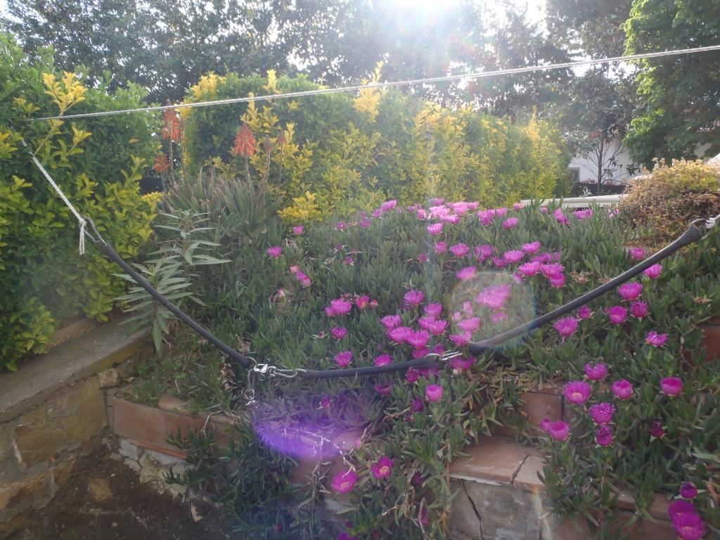 B&B Villa Sans Souci Civitavecchia Eksteriør billede