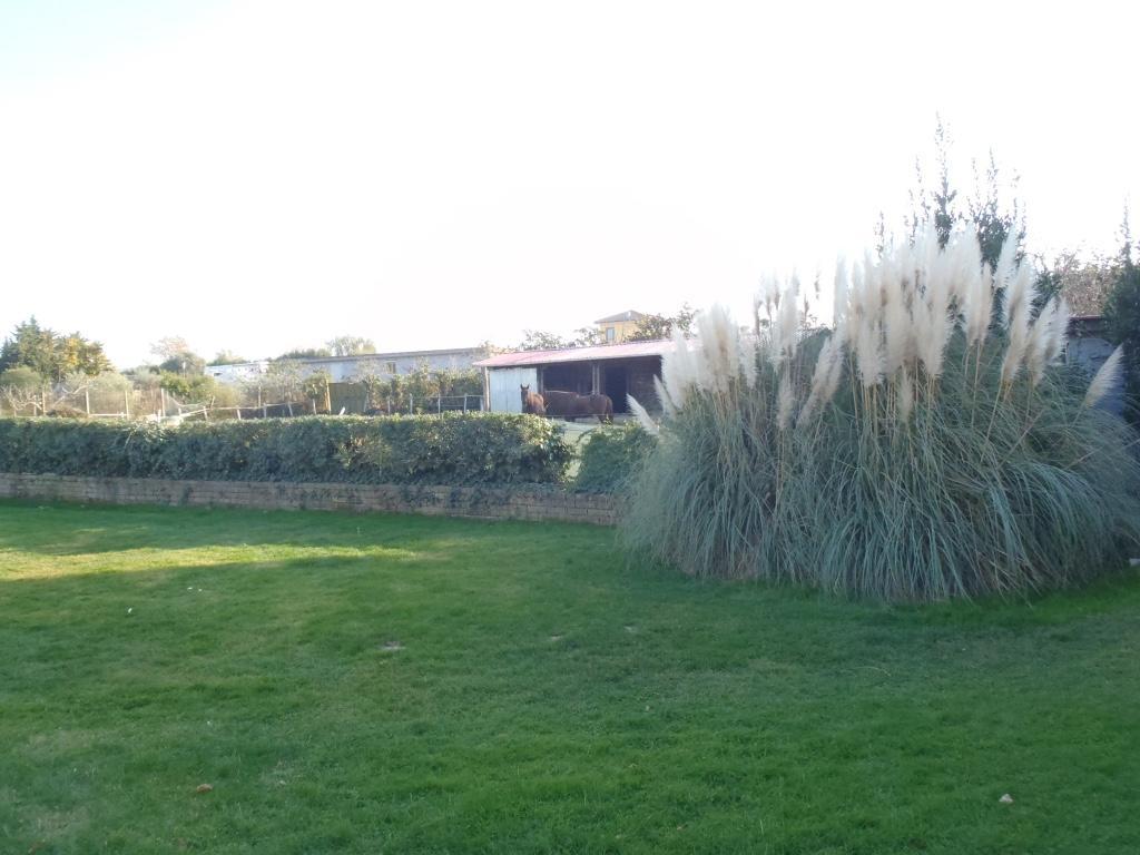 B&B Villa Sans Souci Civitavecchia Eksteriør billede