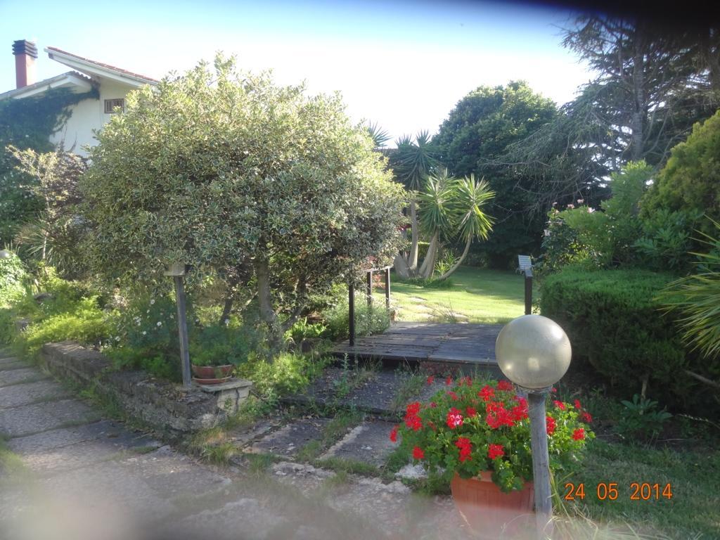 B&B Villa Sans Souci Civitavecchia Eksteriør billede